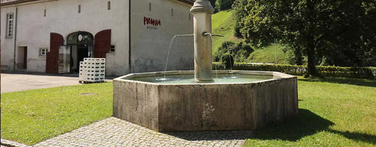 Kulinarik